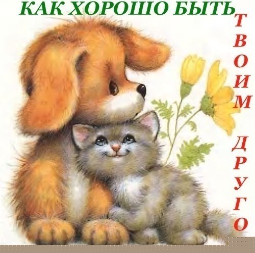 Чому ж, так боїмося ми любити?...