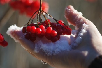 ХОЛОД РОЗДОРІЖЖЯ