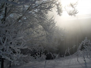 ЗА МИТЬ ДО СПАЛАХУ