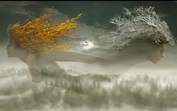 НОЧІ МАГІЧНОЇ МЛА