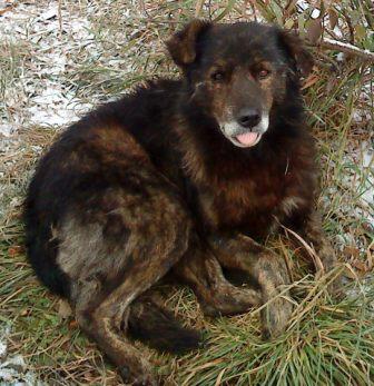 Арапчина молитва