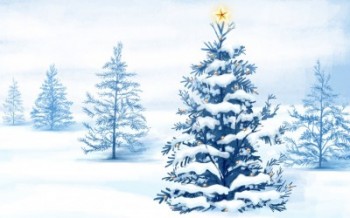 Скільки голок у ялинки?