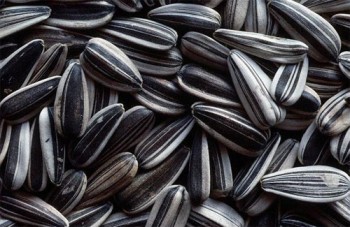 Які тут люди?