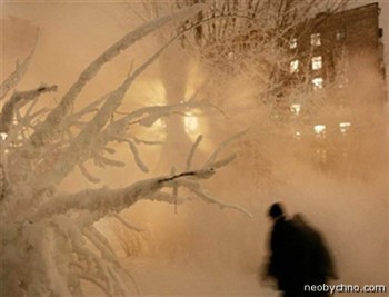 ЛАПАТИЙ ВІКОННИЙ КРАЄВИД