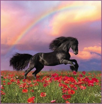 Весіннє навіяне