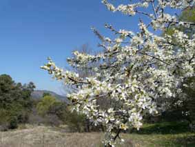 Невже марно Україні волі ми бажали