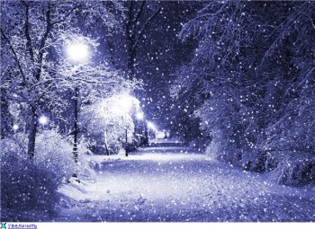 Зимова курява