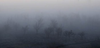 Туман сивий