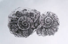 Ти… - ВІЧНІСТЬ