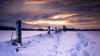 Пам`яті Тараса Іваніва