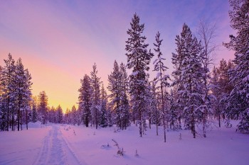 Доля і думки