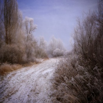 В ДОРОГУ, ЗИМО...