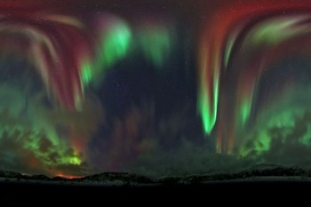 Кактус на кухні, або полярне сяйво