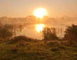 Прокинулась мама на зорі