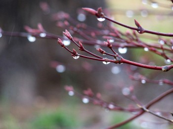 ПАВОДКИ ДУШІ