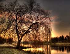 Уклін тобі, мамо