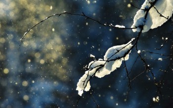 Весняний снігопад