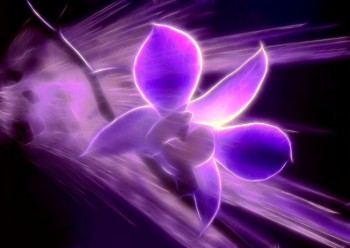 Дивоцвіту мить