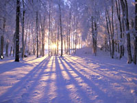 Зима в березні