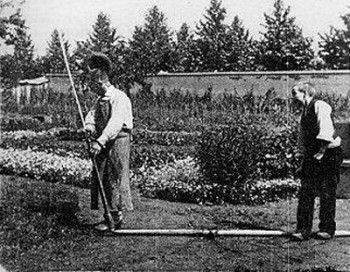 Комедии и начало кинематографа