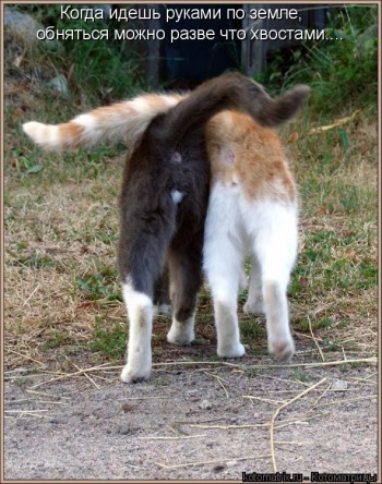 ЗВУКИ ВЕСНЯНИХ ТАМ-ТАМІВ