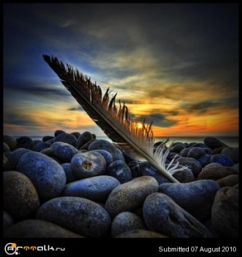 Вірш, мов пілігрим…