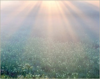 СОНЯЧНІ ДОЩІ