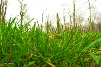 Чому у нас не вічне літо