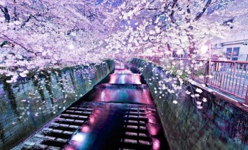 Розбита холодним «Ви»