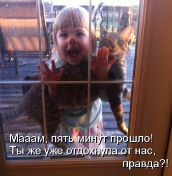 Відпочила?!