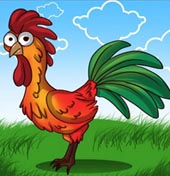 Півень дивак