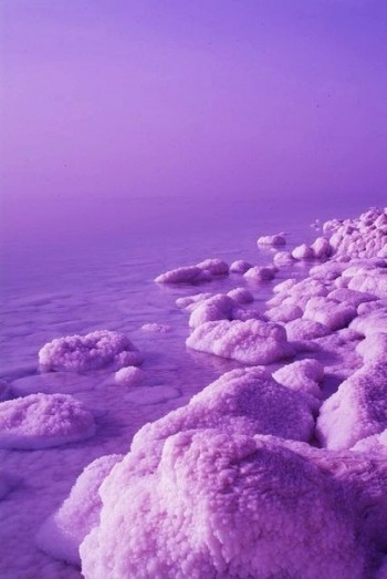 На полі життя