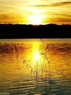 Дай мені сонця