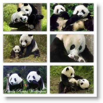 История обоев на рабочий стол.