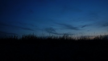 Ніченька гойдає зорі у долонях...