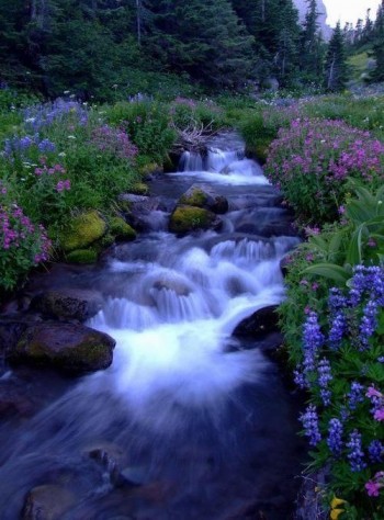 Тому, в кого сині очі