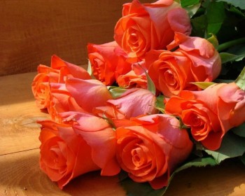 ВІТАЄМО ТРИ ІМЕНИННИЦІ В ОДНІЙ!