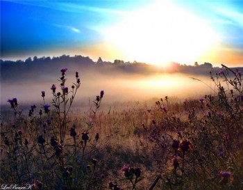 Замріяло в тумані тло небесне