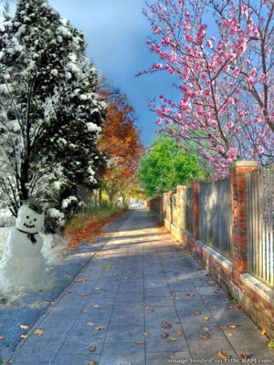 …березень гніздиться на тополі…