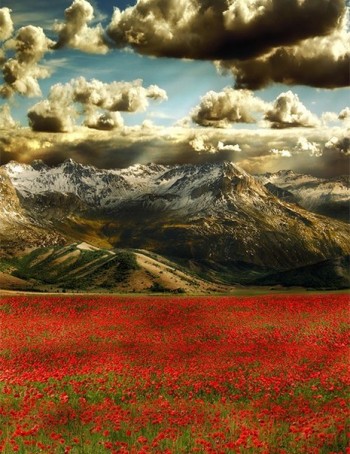 Гра у хованки