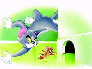 Полювання котика