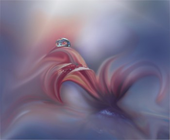 СРІБЛЕНИЙ ДЗВІН