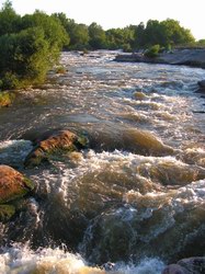 БУЗЬКІ ВОДИ СТЕПІВ