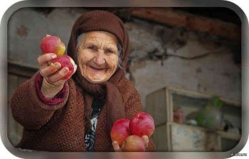 ЯБЛУКА ЧЕРВОНІ