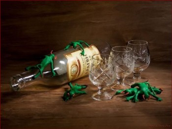 Брати по розуму