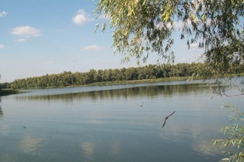 Світанкове