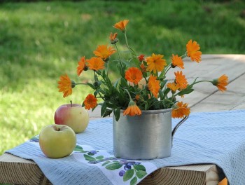 Серпнева замальовка