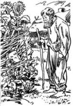 Бико-терапія