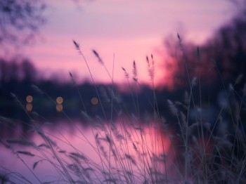 МОЇ СЛОВА...