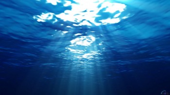 Переважно дощить